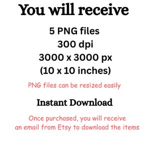 May include: White background with black text stating "You will receive" followed by details about 5 PNG files, 300 dpi, 3000 x 3000 px (10 x 10 inches), and "Instant Download". The text also mentions resizing and Etsy download.