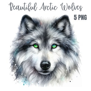Könnte beinhalten: Ein Aquarellbild eines arktischen Wolfes mit grünen Augen. Der Wolf schaut den Betrachter direkt an und hat einen sanften Ausdruck. Der Hintergrund ist in sanftem Blau und Weiß gehalten.