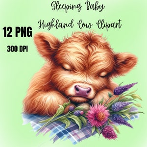 Aquarell schlafende Baby Highland Kuh Clipart, 12 PNG Süße Kuh Clipart, Baby Highland Kuh Clipart, Blume PNG, Blumen PNG, kommerzielle Nutzung