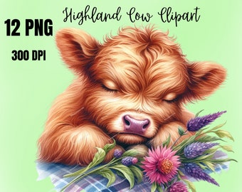 Watercolor Sleeping Baby Highland Cow Clipart, 12 PNG Cute Cow Clipart, Baby Highland Cow Clipart, Flower PNG, Floral PNG, Commercial Use