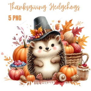 Hérisson mignon de Thanksgiving, PNG de haute qualité, clipart automne, citrouille, agenda numérique, aquarelle, fabrication de cartes, tenue d'un journal, téléchargement numérique