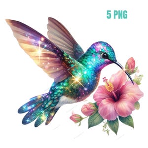 Clipart colibri, PNG de haute qualité, art floral, oiseau png, agenda numérique, aquarelle, fabrication de cartes, tenue d'un journal, téléchargement numérique