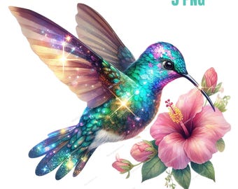Hummingbird Clipart, High Quality PNGs, Flower Art, Bird png, Digital Planner, Watercolor, Card Making, Journaling, Digital Download