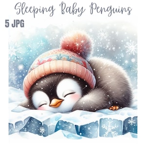 Clipart de pingüino bebé durmiendo, JPG de alta calidad, arte infantil, descarga digital, creación de tarjetas, clipart de animales lindos, pingüino