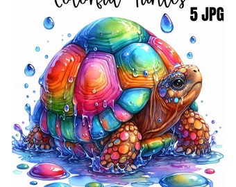 Tortoise Clipart, High Quality JPGs,Colorful Tortoise, Digital Download, Card Making, Clip Art, Digital Paper Craft