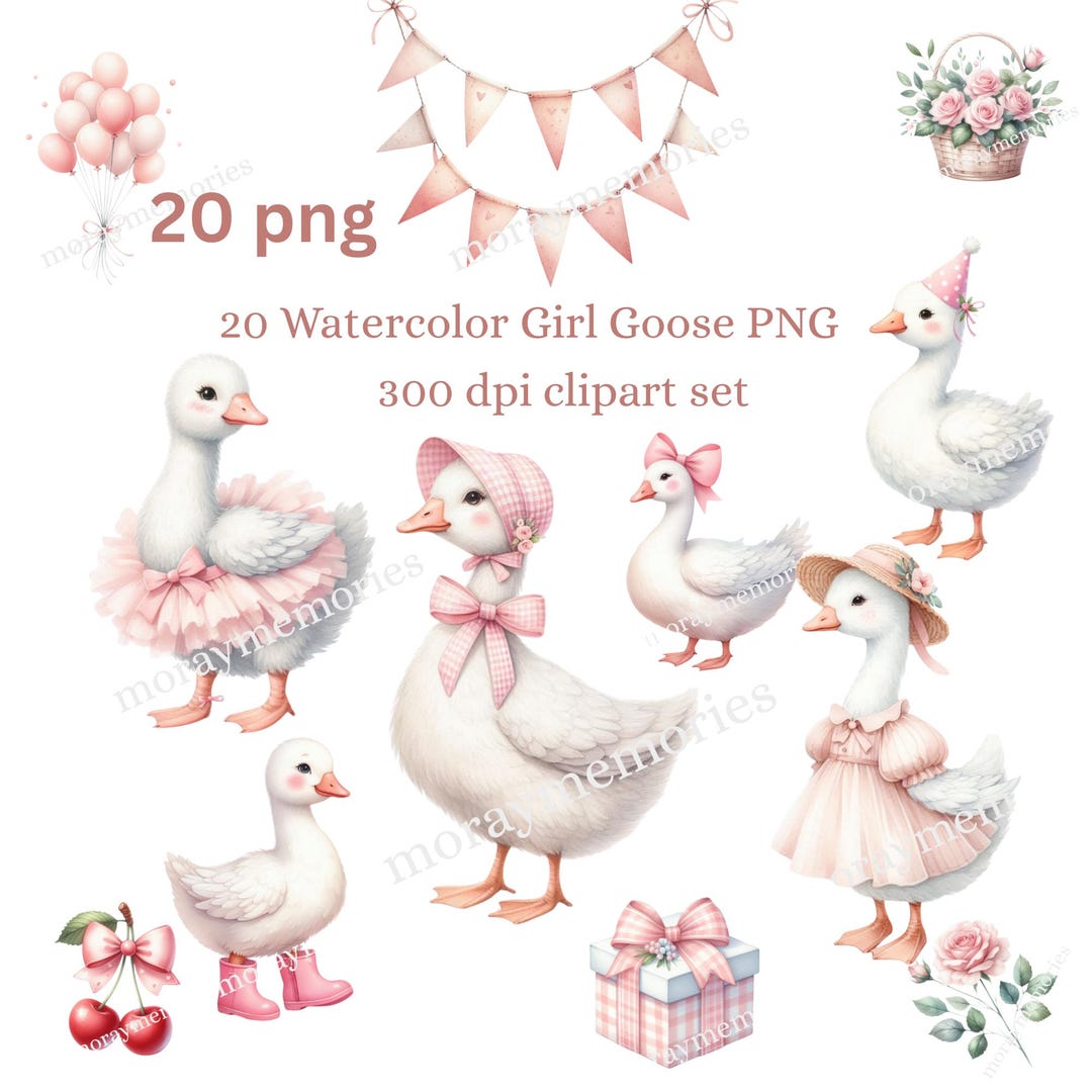 Watercolor Girl Goose Clipart PNG – Pink Silly Goose Digital Download ...