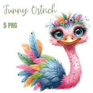 Lustiger Strauß Clipart, Aquarell Clipart, hochauflösende PNGs, Skurrile Vögel Clipart, digitaler Download, Papiermodell, Junk Journals