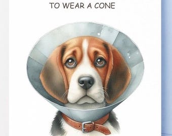 May include: A get well soon card featuring a cartoon beagle wearing a cone of shame. The card has the text "It could be worse, at least you don't have to wear a cone. Get well soon."