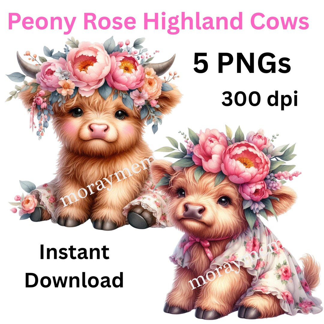 Cute Highland Cow Clipart Bundle, Baby Farm Animals PNG Set of 5 ...