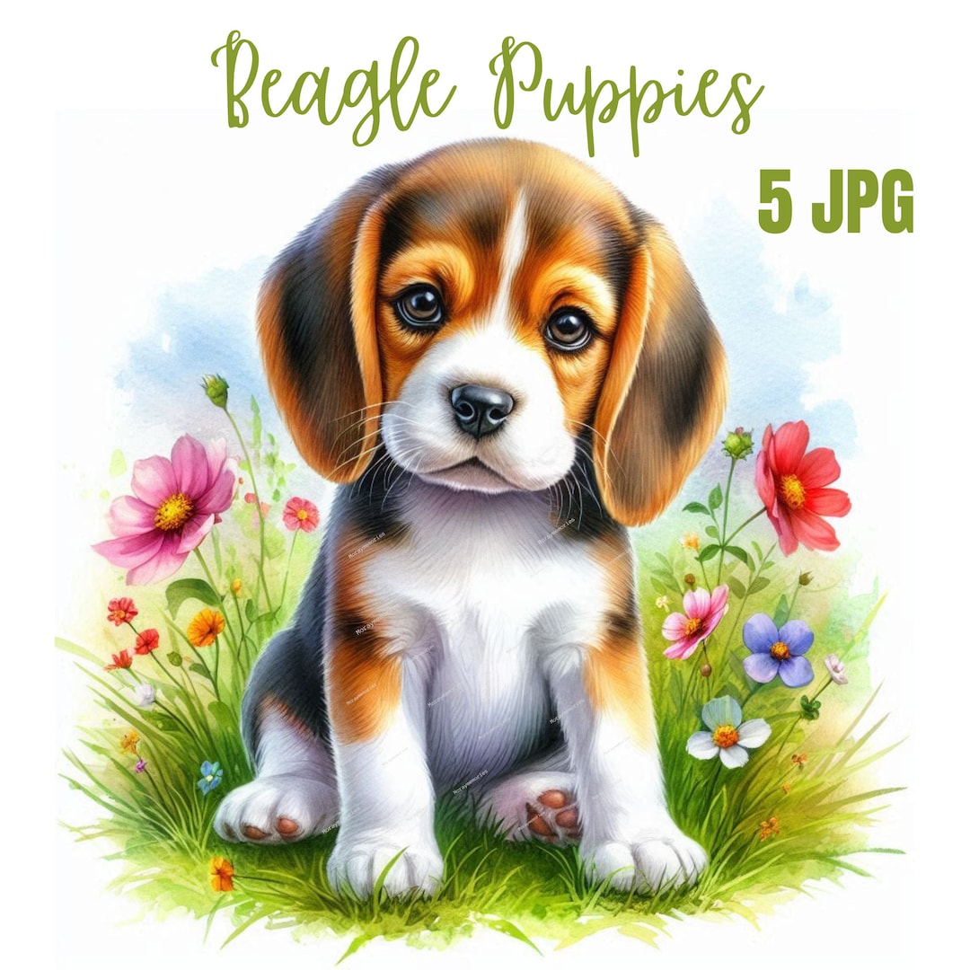 Cute Beagle Puppy Clipart,high Quality Jpgs,cute Dog Jpgnursery Art ...