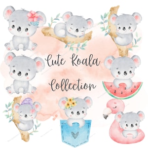 Cute koala clipart, koala, koala png, koala bear, animal clipart, digital clipart, Watercolor clipart, bear clipart, cute animal clipart