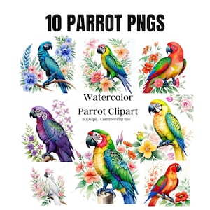 Bird, parrot, Watercolor Parrot Clipart - tropical birds with flowers and leaves in PNG format instant download for commercial use