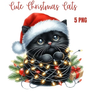 Clipart de gatos navideños, PNG de alta calidad, álbumes de recuerdos, diarios basura, álbumes de recortes, agendas digitales, uso comercial, sublimación