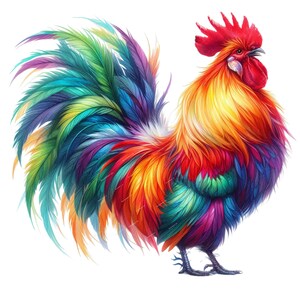 Puede incluir: Ilustraci&oacute;n vibrante de un gallo con plumaje colorido. Las plumas del gallo transitan del rojo y naranja al amarillo, verde, azul y morado. La cresta y la barba son de un rojo brillante. La obra est&aacute; sobre un fondo blanco.
