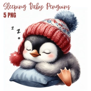 Clipart de pingüino bebé durmiendo, PNG de alta calidad, arte infantil, descarga digital, creación de tarjetas, clipart de animales lindos, pingüino