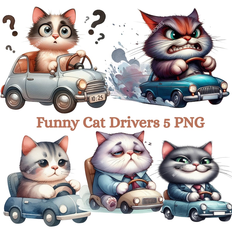 Funny Cat Driving Car PNG Bundle | 5 Cute Animal Driver Clipart | Funny ...