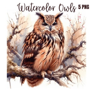Majestueuze uilafbeeldingen | Elegante majestueuze uil clipartbundel | Afbeeldingen van hoge kwaliteit | Natuurkunst | Afdrukbare items | Commercieel gebruik