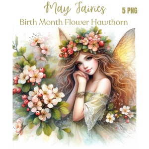 Mei Fairy Clipart bundel, Fairy png, Fairy illustratie png, geboortemaand bloem, digitale papier Craft, sublimatie, commercieel gebruik