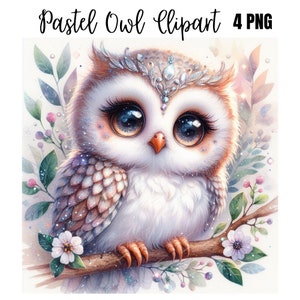 Pastel hibou sublimation clipart 4 hiboux colorés PNG, oeuvre d'art hibou, hibou à imprimer, carte d'anniversaire hibou
