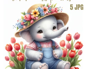 Summer Elephants JPG, elephant clipart, Baby Elephant Sublimation Clipart, elephant, baby elephant, elephant jpg, elephant birthday