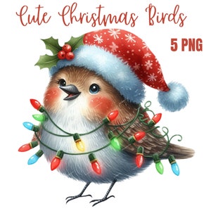 Clipart oiseau de Noël, PNG de haute qualité, livre de souvenirs, journaux indésirables, albums de coupures, agendas numériques, usage commercial, sublimation