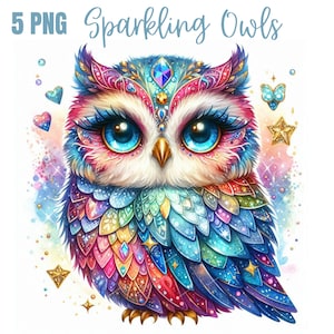 Hibou mousseux sublimation Clipart 5 PNG, hiboux colorés, oeuvre d'art de hibou, hibou imprimable
