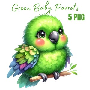 Lindo loro PNG acuarela. Divertido loro verde, divertido pájaro para sublimación, loro bebé PNG.