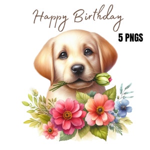 Carte d'anniversaire Labrador pour les amoureux des chiens, carte chien, carte d'anniversaire chien