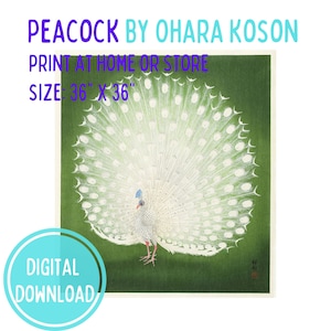 Peacock by Ohara Koson, Japanese Woodblock Print, Square, Printable Wall Art, Digital Download, Ohara Hōson, Ohara Shōson