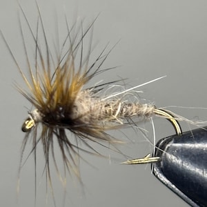 Cole’s Caddis Nymph 3 Pack
