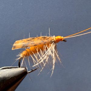 Peut inclure: Gros plan d'une mouche de pêche. La mouche a un corps orange avec des fibres blanches, une aile à motifs et de longues antennes orange. L'hameçon est fixé à une pince noire sur fond bleu.