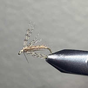 Flymph 3 pack