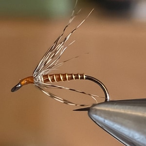 May include: A fishing fly lure featuring a curved metal hook, a segmented amber-colored body, and long, thin, translucent brown-and-white striped hackle feathers extending upward and downward from the head of the fly.