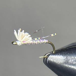 Pale Morning Dun Emerger 3 Pack