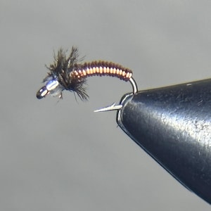 May include: A brown and black fly fishing lure with a copper wire body.