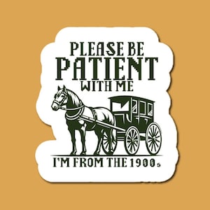 Please Be Patient With Me I&#39;m From The 1900&#39;s Sticker, Funny Sticker, Funny Trendy Sticker, Waterproof Sticker, Water Bottle Sticker