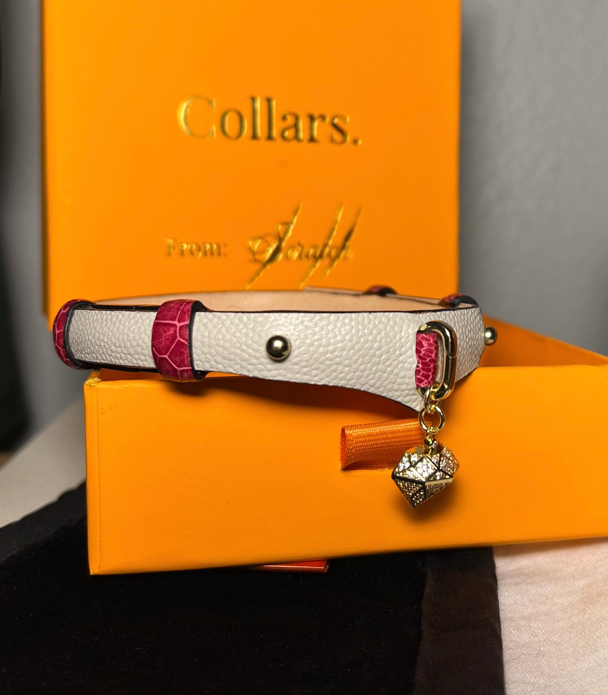 Gucci dog collar clearance and leash set sale