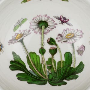 May include: A white ceramic bowl featuring a detailed botanical illustration of daisies with pink-tipped white petals, yellow centers, and green stems. The design includes vibrant green leaves and several small, colorful insects like butterflies.
