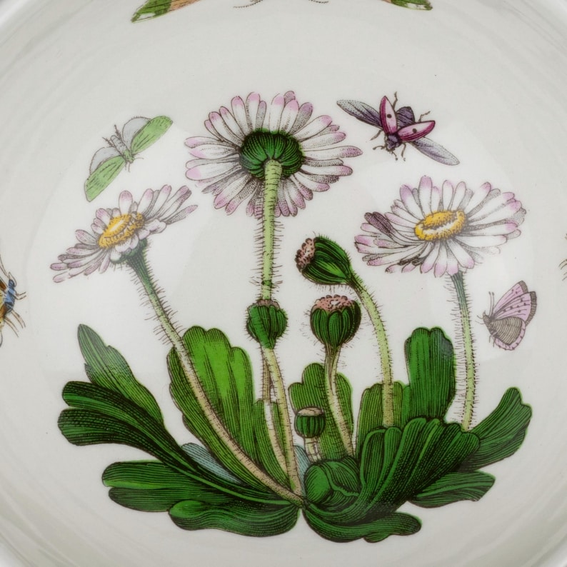 May include: A white ceramic bowl featuring a detailed botanical illustration of daisies with pink-tipped white petals, yellow centers, and green stems. The design includes vibrant green leaves and several small, colorful insects like butterflies.