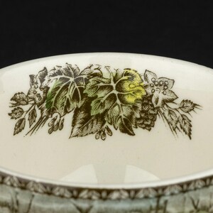 Pu&ograve; includere: Una tazza in ceramica color crema con un bordo interno decorato da un'illustrazione botanica dettagliata di foglie verdi, viticci marroni e piccoli fiori. Il bordo esterno presenta un motivo geometrico marrone su sfondo bianco.