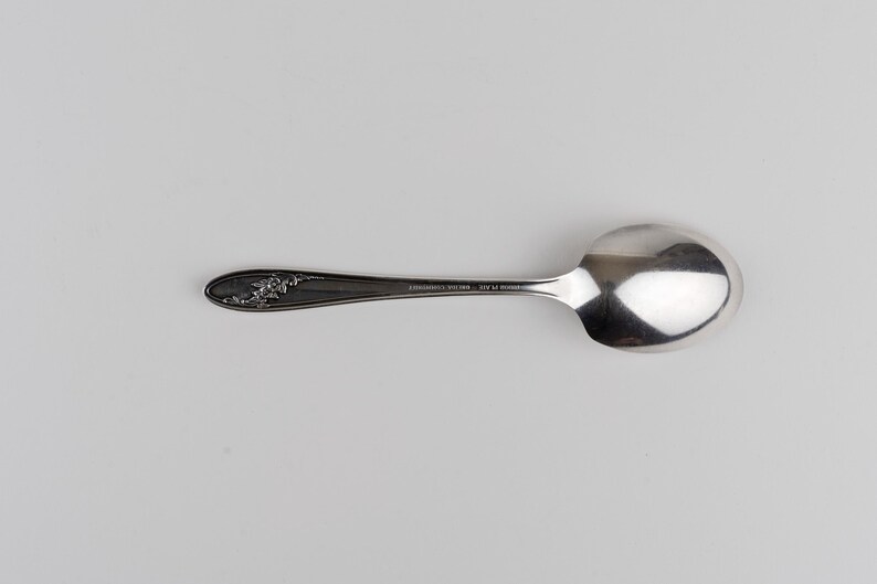 May include: A silver-toned metal spoon featuring a polished oval bowl and a slender handle. The handle displays an embossed floral pattern at the tip and includes the engraved text "COMMUNITY PLATE" along the center of the stem.