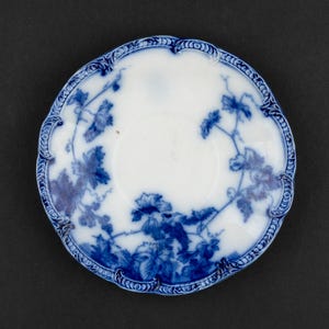 Puede incluir: Un platillo redondo de cer&aacute;mica con base blanca y un patr&oacute;n azul de vides y hojas. El borde festoneado est&aacute; decorado con un dise&ntilde;o de borde en relieve de color azul oscuro que enmarca la ilustraci&oacute;n bot&aacute;nica central del platillo.