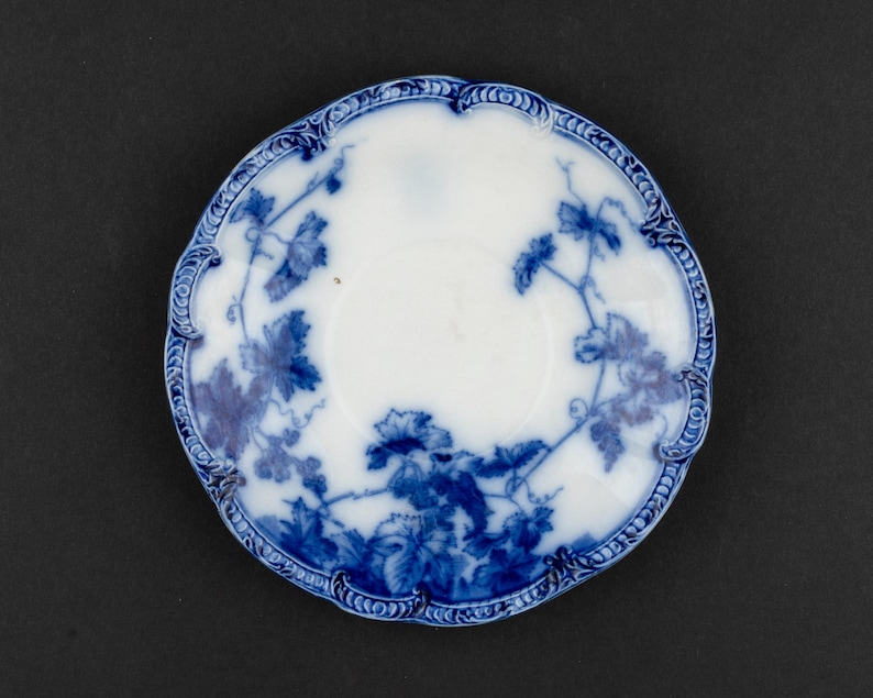 Puede incluir: Un platillo redondo de cer&aacute;mica con base blanca y un patr&oacute;n azul de vides y hojas. El borde festoneado est&aacute; decorado con un dise&ntilde;o de borde en relieve de color azul oscuro que enmarca la ilustraci&oacute;n bot&aacute;nica central del platillo.