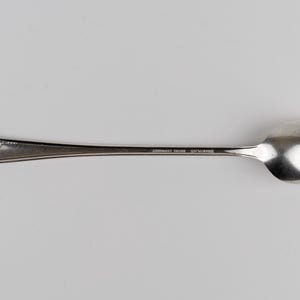 May include: A silver-colored metal spoon with a long, slender handle featuring an embossed floral pattern at the end. The handle is engraved with the text "SILVERPLATE" and "WM ROGERS MFG CO" in small, clear capital letters near the bowl.