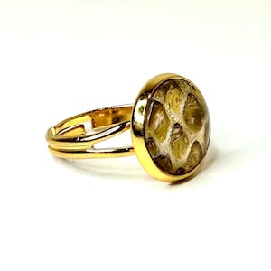 Adjustable Gold Plated Snake Skin Embedded Ring, Hammered Ring, Minimalist Organic Gold Plated Ring, Thumb Finger, Thin Ring