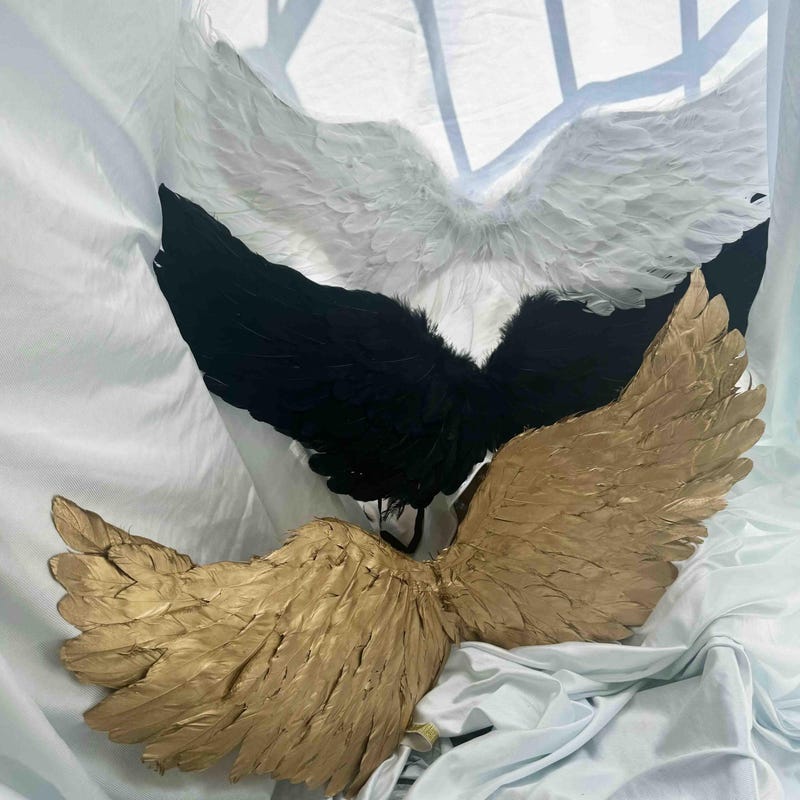 Angel Wings No Straps - Etsy