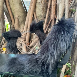 Könnte beinhalten: Ein schwarzes Katzenohren-Stirnband und Schwanz-Set aus Kunstfell. Die Ohren sind an einem durchsichtigen Kunststoff-Stirnband befestigt, und der Schwanz hat einen schwarzen Riemen. Das Fell ist lang und flauschig.