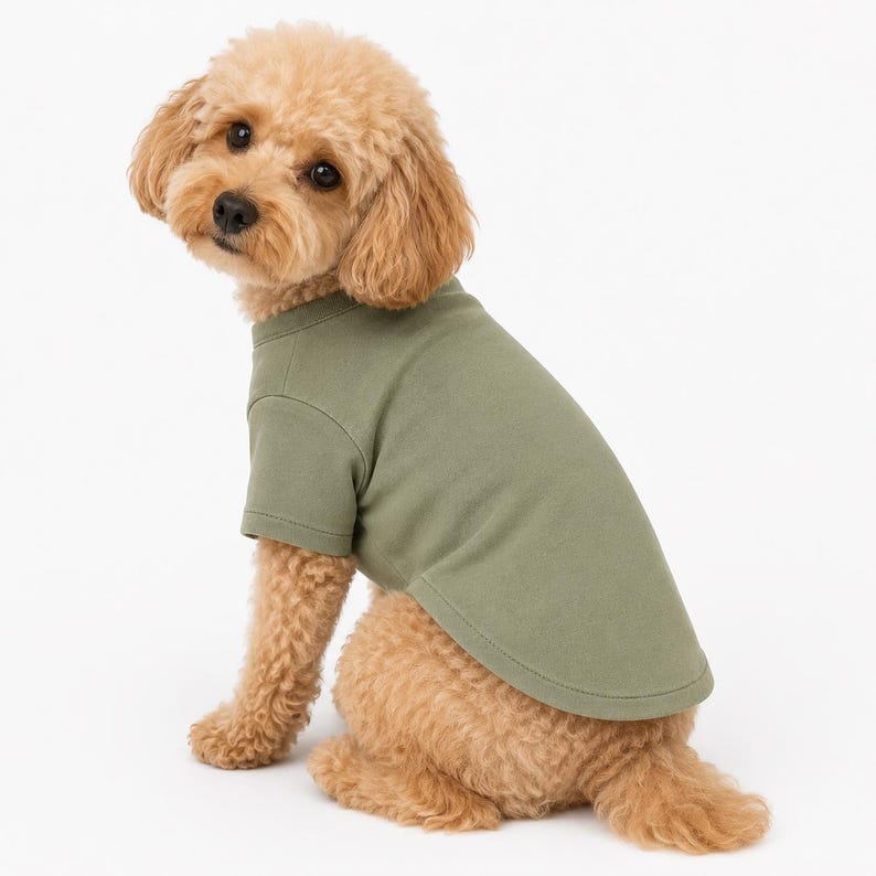 May include: A small, light brown curly-haired dog wearing a solid olive green short-sleeved pet shirt. The shirt features a simple crew neckline and a curved hemline that covers the back of the dog, providing a plain and functional appearance.