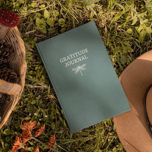 May include: A green gratitude journal with a dragonfly design on the cover. The journal is lying on a bed of green grass with a brown hat and a basket of pine cones in the background.