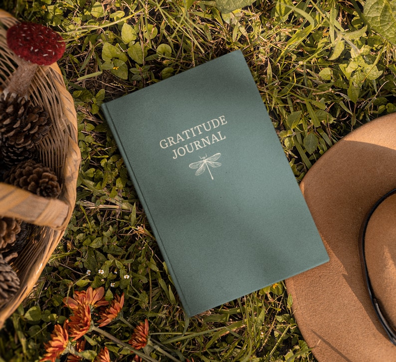 May include: A green gratitude journal with a dragonfly design on the cover. The journal is lying on a bed of green grass with a brown hat and a basket of pine cones in the background.